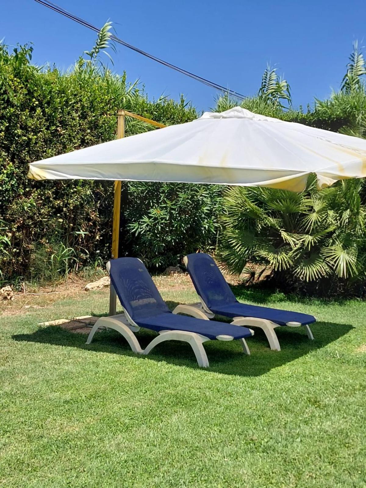 Modular King Suite - Intera Suite Vicino Aeroporto E Fiera Di Roma Fiumicino Eksteriør billede
